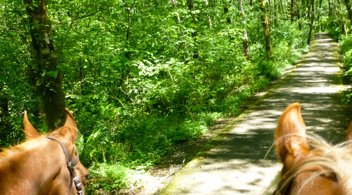 Moulton Falls Trail