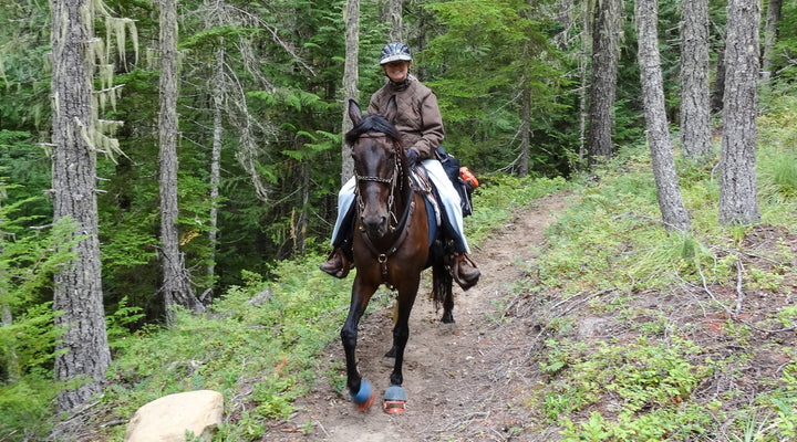 Cody Horse Camp