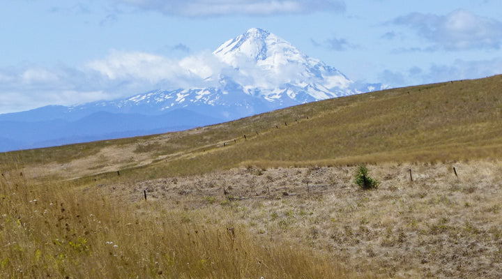 Columbia Hills State Park