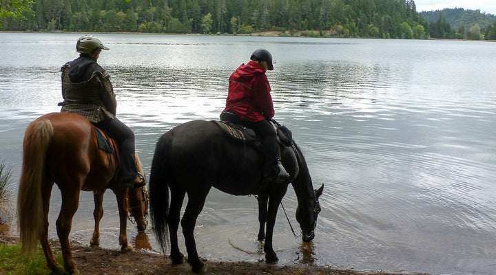 Lake Selmac
