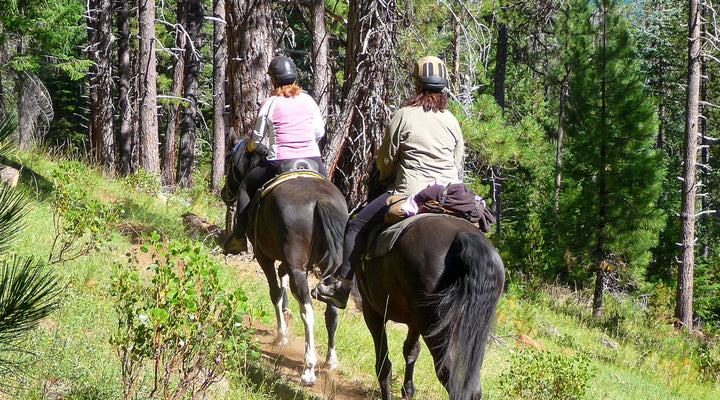 Lemolo Segment, North Umpqua Trail