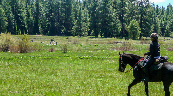 Lily Glen Equestrian Park