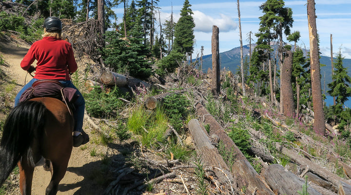 Mt. Thielsen Loop