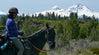 Peterson Ridge Horse Trail