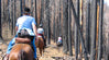 Riding After a Forest Fire