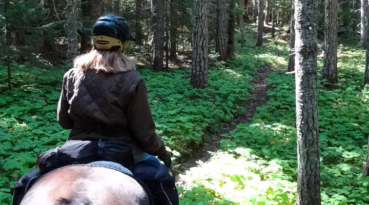 Spring Creek Loop at Cody Horse Camp
