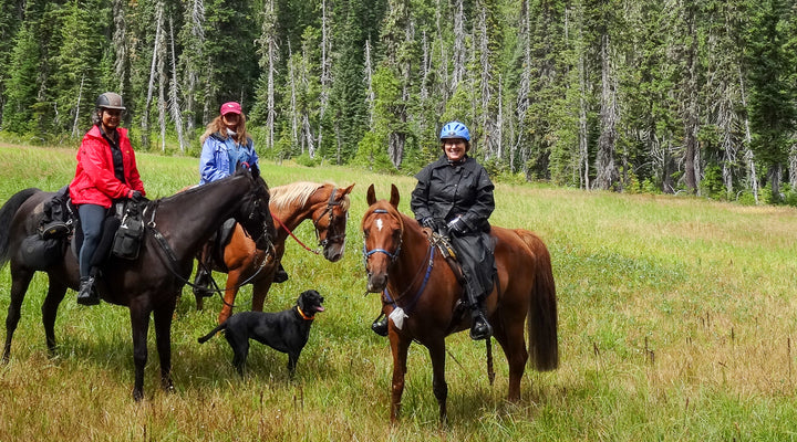 Walupt Horse Camp