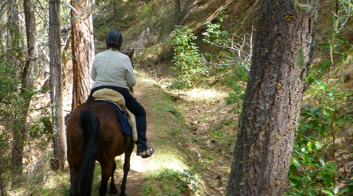 The Sterling Mine Ditch Trail