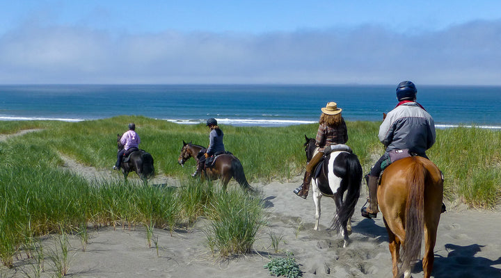 The Beach Trail at Cape Blanco