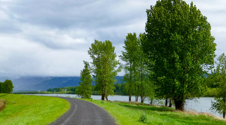 Washougal Dike Trail