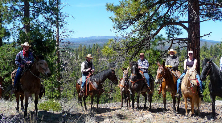 Fremont National Recreation Trail to Hager Mountain