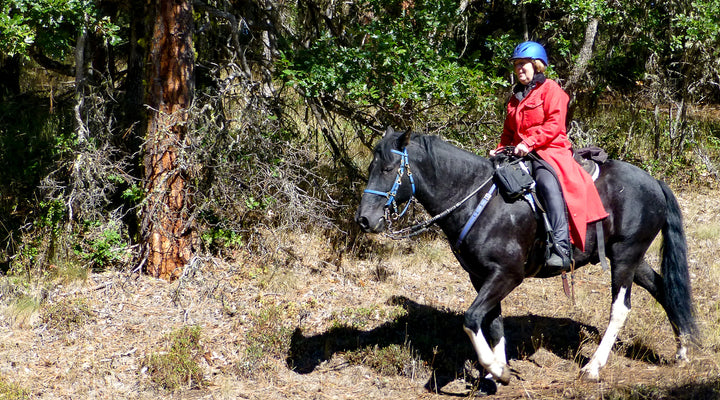 PCT South from Hyatt Lake Horse Camp