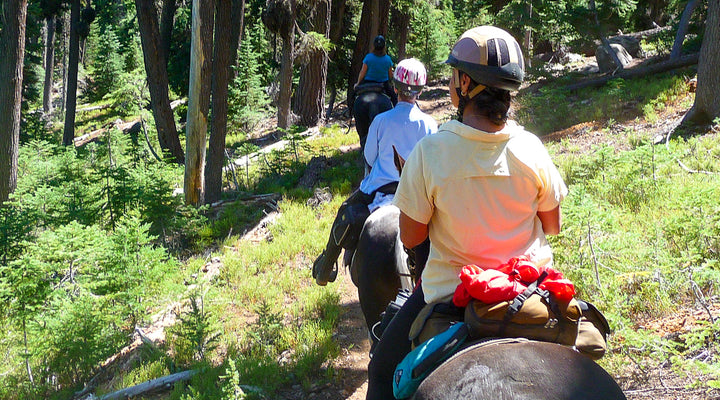 Badger Lake Trail at Fourmile Lake