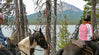 Badger Lake Trail at Fourmile Lake