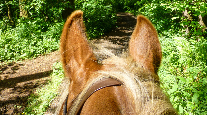 Battle Ground Lake State Park