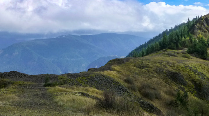 Hamilton Mountain at Beacon Rock State Park