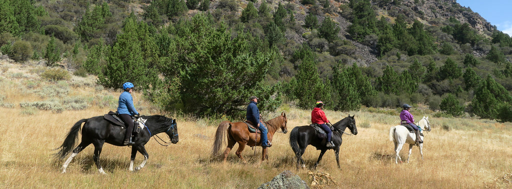 Big Indian Gorge Trail, Steens Mountain – NW Horse Trails