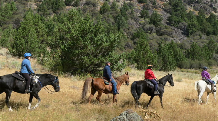 Big Indian Gorge Trail, Steens Mountain