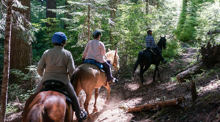 Big Meadows Loop at Big Meadows Horse Camp