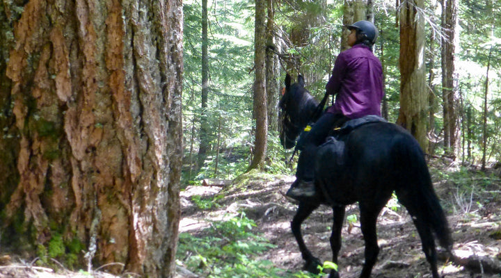 Blue Lake Loop at Kalama Horse Camp