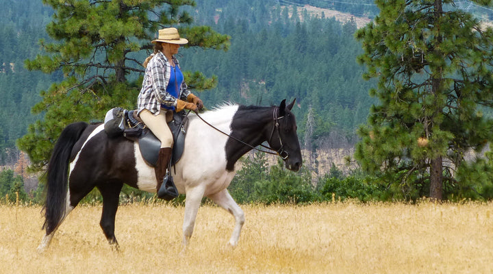 Brooks Memorial State Park