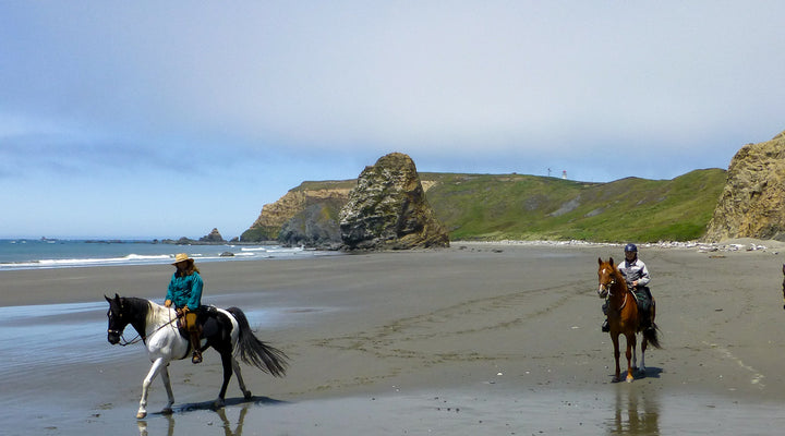 Cape Blanco Beach Trail