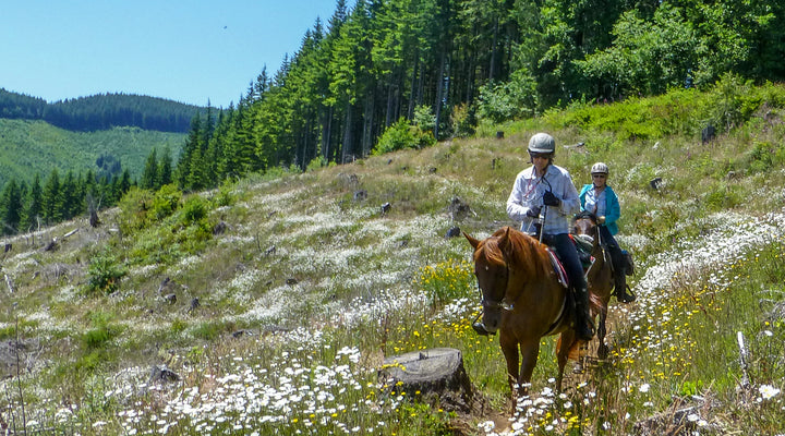 Capitol State Forest