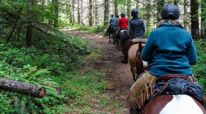 Carpenter Bypass Trails