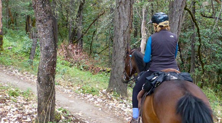 Cathedral Hills Trails