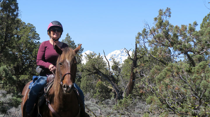 New Trail at Cascade View Trailhead at Cline Buttes