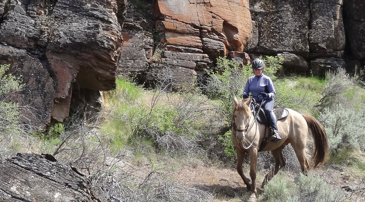 Fryrear Trailhead, Cline Buttes Recreation Area