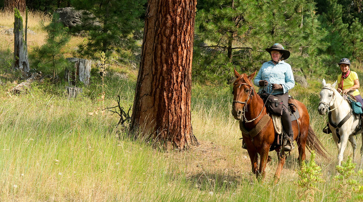 Coyle Butte Loop at Corral Flat