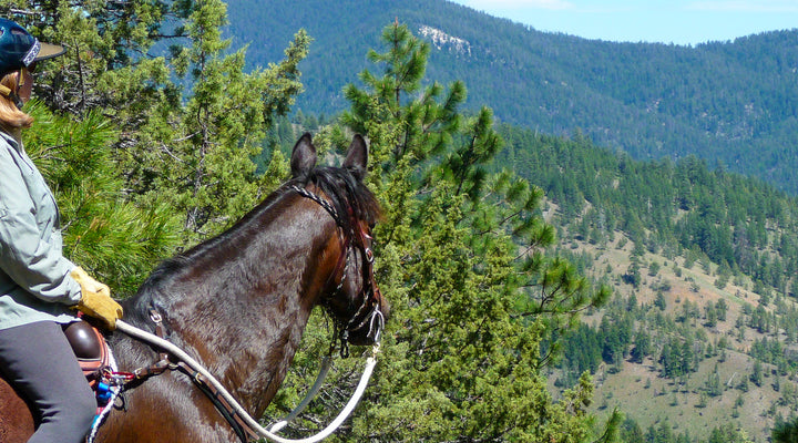 Dry Creek Horse Camp