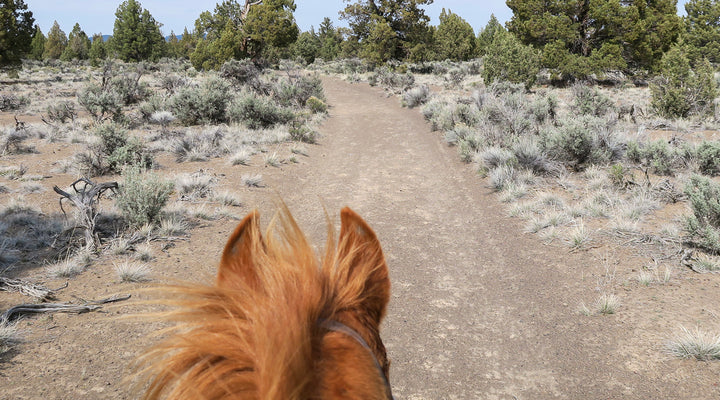 Dry River Loop, Oregon Badlands Wilderness