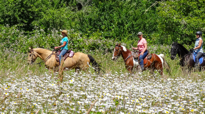 Elijah Bristow State Park