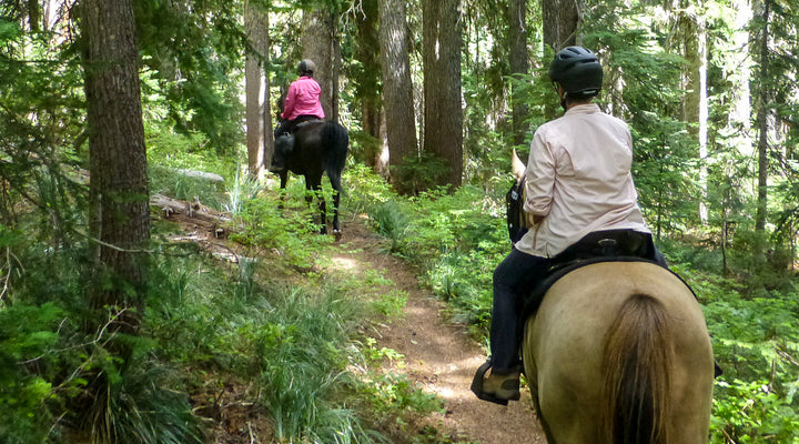 Falls Creek Horse Camp