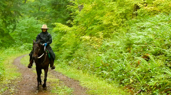 Five-Mile Loop at Camp Wilkerson