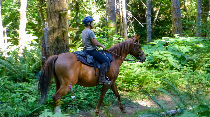 Gales Creek Trail at Reehers Camp