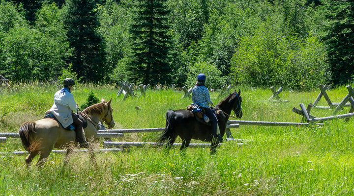 Gibson Prairie Horse Camp