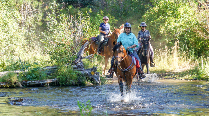 Head of Jack Creek from Sheep Springs Horse Camp