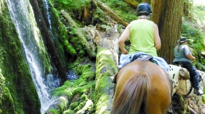 Hot Springs Segment, North Umpqua Trail