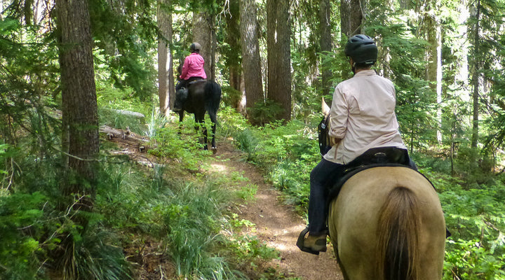 Indian Race Track Trail, Falls Creek Horse Camp