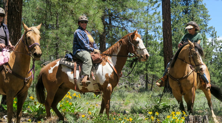 Jimerson Loop at Sisters Cow Camp