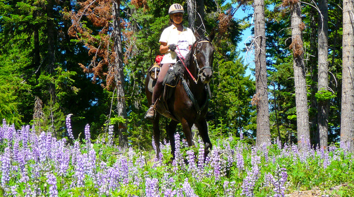 Knebal Springs Campground