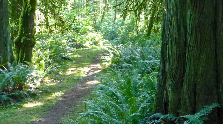 Lewis and Clark State Park