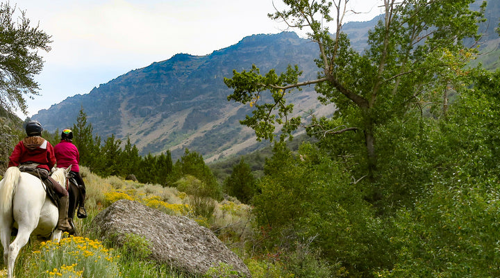 Little Blitzen Gorge, Steens Mountain