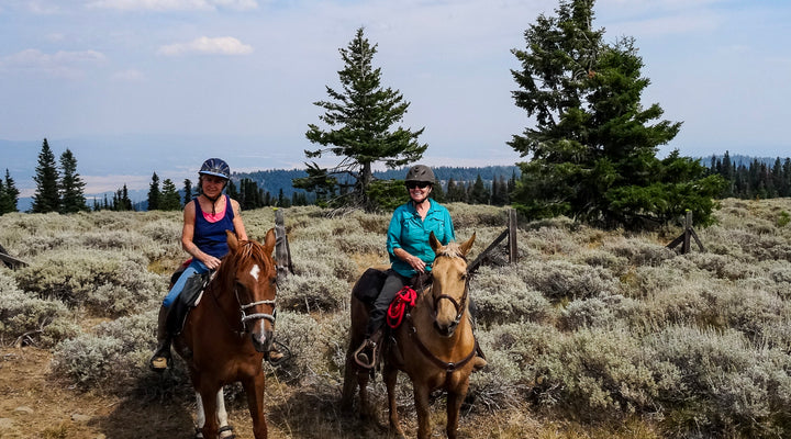 Lookout Mountain Trail