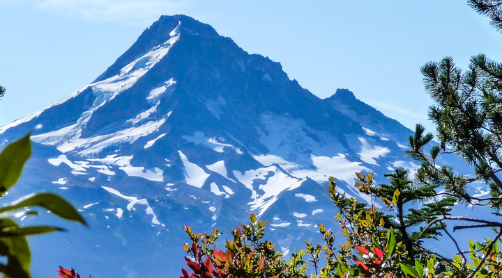 Lost Lake Butte Trail