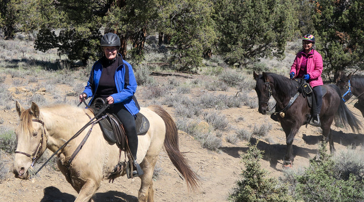 Maston Area at Cline Buttes