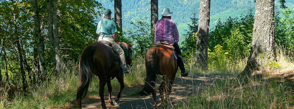 McDonald Forest – NW Horse Trails
